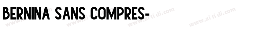 BERNINA SANS COMPRES字体转换